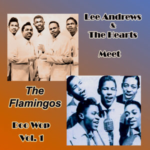 Lee Andrews & the Hearts Meet the Flamingos Doo Wop, Vol. 1