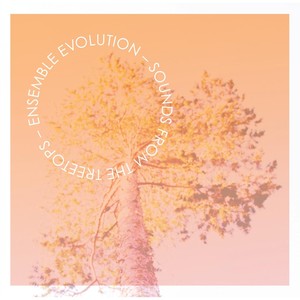 The Cabin (feat. Angela Shankar & Anna K. Larson)