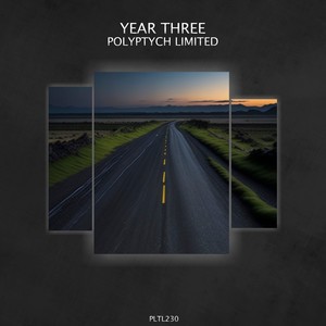 Polyptych Limited: Year Three