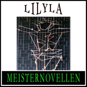 Meisternovellen 12