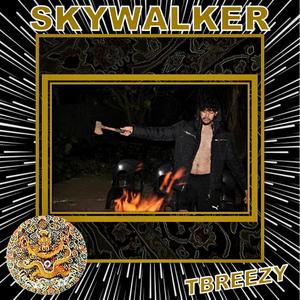 SKYWALKER (Explicit)