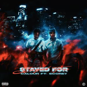 Stayed For (Explicit)