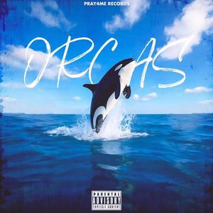 ORCAS (Explicit)