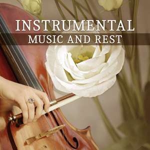 Instrumental Music and Rest – Songs for Relax, Mozart, Beethoven, Schubert After Work, Peaceful Evening