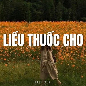 Liều Thuốc Cho Trái Tim(Lofi)