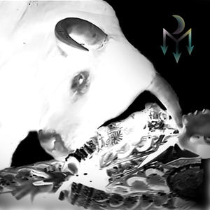 DISMORFIA (Explicit)