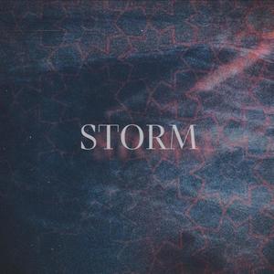 Cycle 2: STORM