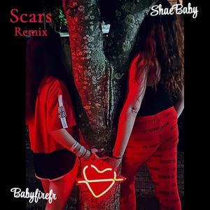Scars Remix (feat. Shaebaby)