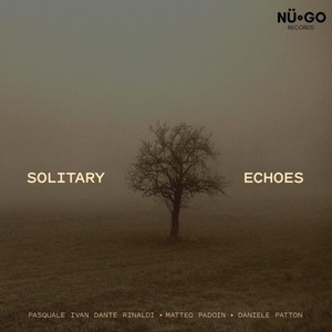 Solitary Echoes