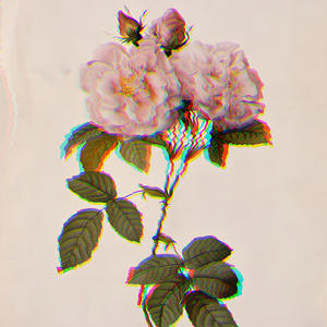 Saturdays (feat. All Knight) (Explicit)