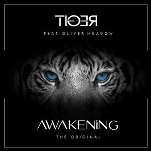 Awakening (feat. Oliver Meadow)