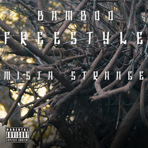 Bamboo Freestyle (Explicit)