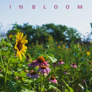 Watch It Bloom (feat. Minute After 8, Jus T & Michael Wall)
