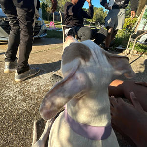 Fan Hoe (feat. LahKam) (Explicit)