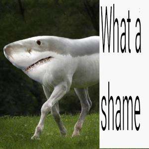 What a Shame 1 (Explicit)