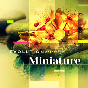 Evolution of the Miniature - 10 Preludes, Op. 23: No. 5, Alla marcia in G Minor