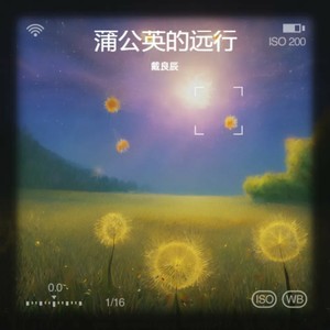 蒲公英的远行