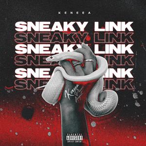 Sneaky Link (Explicit)