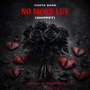NO MORE LUV (Snippet)