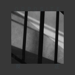 反·正(OPPOSITE)