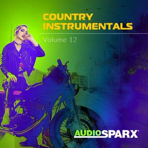 Country Instrumentals Volume 12