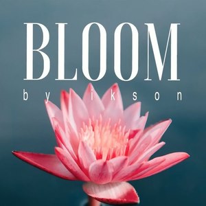 Bloom