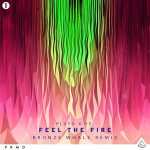 Feel The Fire (Bronze Whale Remix)