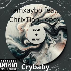 Crybaby (feat. ChrixTian Lopex) (Explicit)