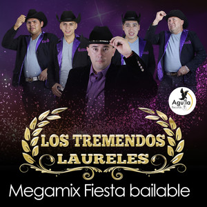 Megamix Fiesta Bailable