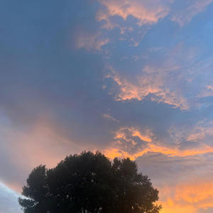 Fake Drop (Explicit)