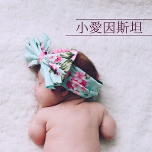 全脑开发
