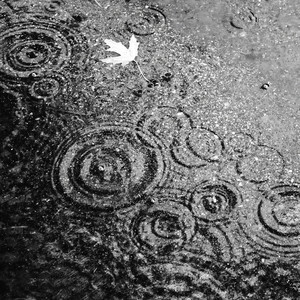 雨爱 (1.2x破碎版)