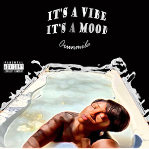 It's a vibe It's a mood (Explicit)