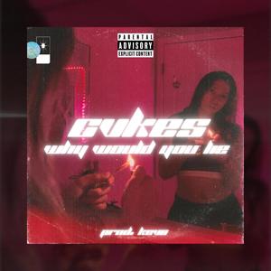 Why Would You Lie (Explicit)