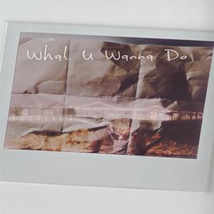 VIP Boogz - What U Wanna Do (Explicit)