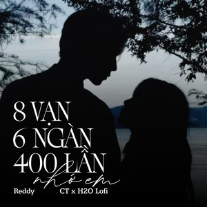 8 Vạn 6 Ngàn 400 Lần Nhớ Em (Lofi)