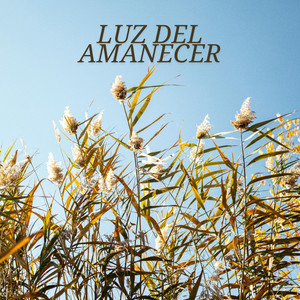 Luz del Amanecer