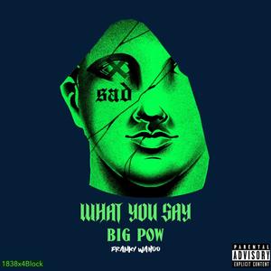 What You Say (Explicit)