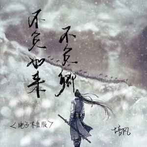 不负如来不负卿 (电子木鱼版)