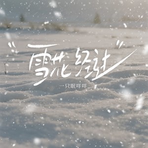 雪花经过