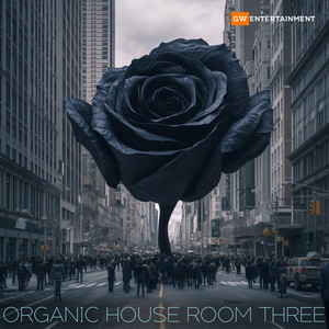 Organic House Room Three