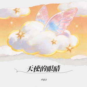 天使的眼睛——王杰