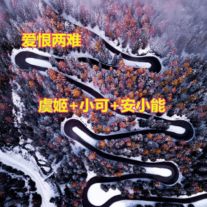 放一百个心 (DJ版)