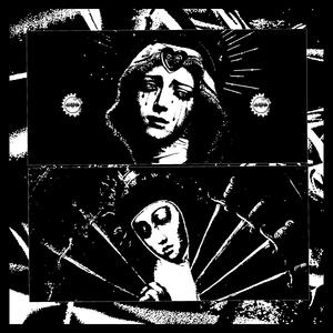 POLEMISTES (Explicit)