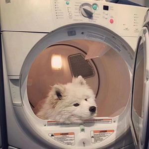 灰色头像