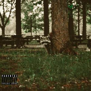 Vor deiner Tür (feat. Hyronimus) (Explicit)