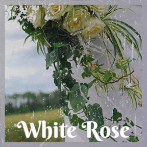 White Rose