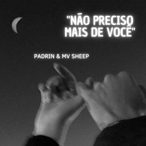 NÃO PRECISO MAIS DE VOCÊ (Explicit)