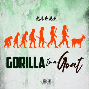 Gorilla to a Goat