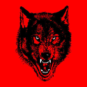 WOLFPACK (feat. STUNN MELODY) (Explicit)